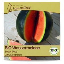 BIO Wassermelonen Samen Sorte